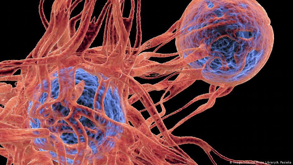 Η μηδενική βαρύτητα σκοτώνει τα καρκινικά κύτταρα